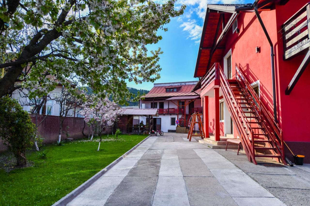 Villa Castellino Tîrgu Ocna Eksteriør billede
